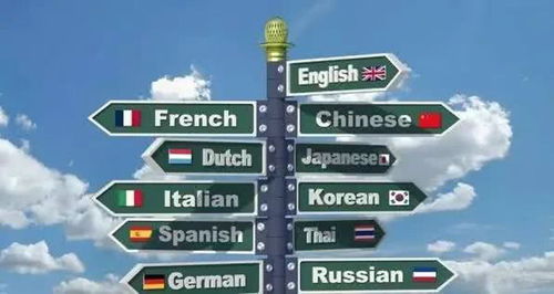 小語(yǔ)種翻譯服務(wù)的全面解析 從價(jià)值到選擇